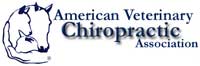 Animal Veterinary Chiropractic Association (AVCA)