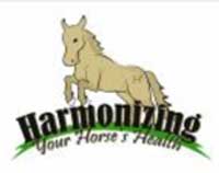 Harmonizing Your Horse's Health